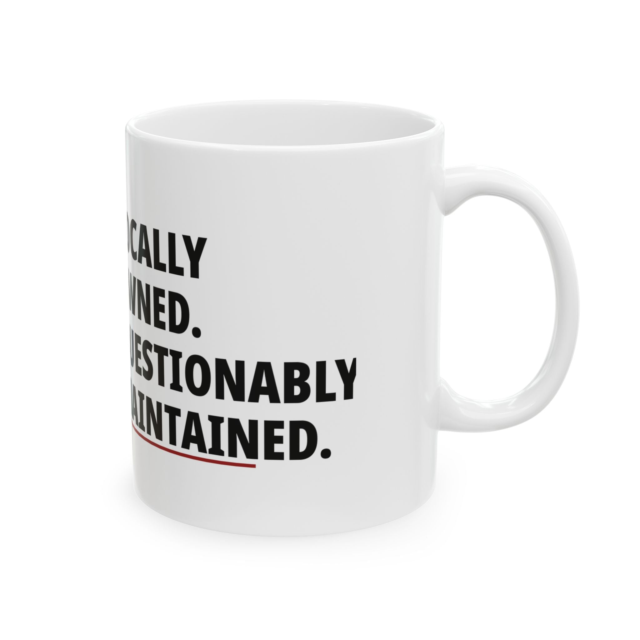 Locally Owned. Questionably Maintained. Mug
